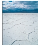 What type of rock would you form in this environment,showing a dried up lake bed?   A) rock salt and other evaporite minerals B) limestone C) coal D) chert E) iron formation