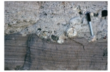 What can you infer from this contact between an overlying conglomerate and underlying sandstone?   A) The conglomerate was deposited by the wind. B) There was a gradual switch from marine to nonmarine conditions. C) There was a gradual switch from nonmarine to marine conditions. D) There was an abrupt event,such as a flood.