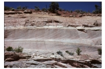 The large cross beds in these rocks indicate that the sediment was deposited:   A) deep in the ocean B) in a lake with a gently sloping bottom C) by the wind or a water current D) by a debris flow E) all of these