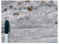 This sandstone includes small rounded pebbles and was deposited far from the ocean.What is the most likely environment in which it formed?   A) sand dunes B) river C) beach next to a sea D) deep-water turbidity currents