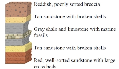 Which of the rock layers in this figure was most likely deposited by sand dunes on land?   A) the reddish breccia B) the upper tan sandstone C) the lower tan sandstone D) the lowest red sandstone E) none of these