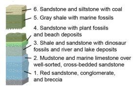 Which of the following units was most likely deposited at least partly in sand dunes?   A) unit 5 B) unit 4 C) unit 3 D) unit 2 E) unit 1