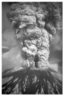 What type of volcanic eruption is shown in this photograph?   A) a lava fountain B) collapse of a volcanic dome C) a fissure eruption D) a pyroclastic column E) a volcanic mudflow