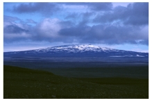 This volcano is broad and low,and is composed of basaltic lava flows.What kind of volcano is it?   A) scoria cone B) shield volcano C) composite volcano D) volcanic dome E) caldera