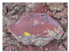 What type of basaltic feature is shown in this photograph?   A) vesicles B) volcanic bomb C) aa lava flow D) pahoehoe lava flow E) pyroclastic flow