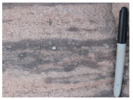 What type of eruption formed this flow-banded rhyolite?   A) a viscous lava flow B) a pyroclastic column C) a pyroclastic flow D) a lava that broke apart while it flowed E) a lava fountain