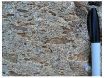 This igneous rock contains flattened pieces of pumice and small crystals of quartz and feldspar.What type of eruption probably formed this rock?   A) eruption of a low-viscosity,basaltic lava flow B) eruption of high-viscosity lava in a dome C) dome collapse that forms volcanic breccia D) eruption of a pyroclastic flow that forms a thick and hot deposit E) slow settling of ash from a tall eruption column forming a nonwelded tuff