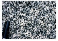 What texture is displayed by the igneous rock in this photograph?   A) vesicles B) breccia C) porphyritic D) glassy E) none of these