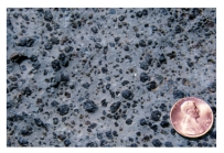 What texture is displayed by the igneous rock in this photograph?   A) vesicles B) breccia C) porphyritic D) glassy E) none of these