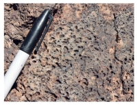 What texture is displayed by the igneous rock in this photograph?   A) vesicles B) breccia C) porphyritic D) glassy E) none of these