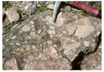 What texture is displayed by the igneous rock in this photograph?   A) vesicles B) breccia C) porphyritic D) glassy E) none of these