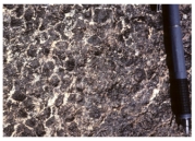 <strong>Which of the following rock photographs depicts a felsic igneous rock?</strong> A) B) C) D)