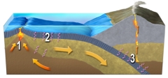 Which number of this figure indicates transfer of thermal energy by conduction?   A) 1,heating of adjacent rocks by a magma B) 2,cooling of hot lithosphere by contact with cooler rocks and seawater C) 3,heating of the subducted plate by contact with hotter overlying materials D) all of these