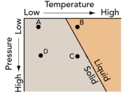 Which of the following changes in conditions could represent melting of continental crust from the introduction of a mafic magma?   A) from A to B B) from A to C C) from A to D D) from C to B E) from B to D