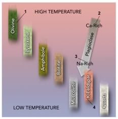 On this figure of Bowen's Reaction Series,which mineral would crystallize last from magma?   A) 1,olivine B) 2,calcium-rich plagioclase C) 3,sodium-rich plagioclase D) 4,K-feldspar