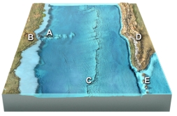 Which of the letters shown on this figure would most likely include some intermediate to felsic magmas?   A) B and C B) A and C C) A,B,and C D) B,C,and D E) B,D,and E
