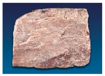 The very common mineral shown in this photograph is commonly a pink- to cream-colored mineral with wavy,light-colored lines.It does not effervesce.What mineral is it?   A) garnet B) quartz C) biotite D) muscovite E) feldspar