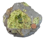 Which layer in the earth has a composition similar to the green olivine in the center of this rock?   A) continental crust B) oceanic crust C) mantle D) core