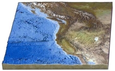 Which of the following features is present on the seafloor off the Pacific Northwest?   A) world's largest oceanic plateau B) long,fairly straight fracture zone C) world's largest linear island chain D) island arc within oceanic plates
