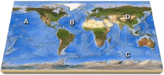 On this map,identify which letter is over the Pacific Ocean.   A) A B) B C) C D) D E) feature is not labeled