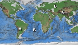 Which area(s) on this world map is likely to have earthquakes?   A) A B) B C) C D) D E) A,B,and C only