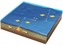What type of plate boundary is depicted by the smaller arrows in the center of this figure?   A) divergent boundary B) convergent boundary C) transform boundary D) hot spot E) none of these