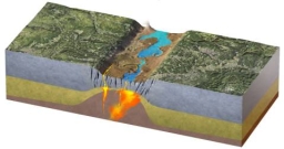 What type of plate boundary is depicted in this figure?   A) continental rift B) ocean-ocean convergent boundary C) ocean-continent convergent boundary D) divergent and transform boundaries E) continental collision