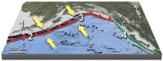 This figure shows plate boundaries south of Alaska.Which location is likely to contain volcanoes above a subduction zone?   A) 1 B) 2 C) 3 D) 4 E) 2 and 3