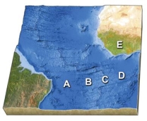 On the accompanying figure,which letter is over the youngest oceanic crust?   A) A B) B C) C D) D E) E