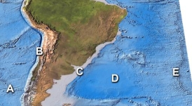 Where is subduction occurring on this map of South America?   A) A B) B C) C D) D E) E
