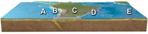 Where is subduction occurring on this figure of South America?   A) A B) B C) C D) D E) E