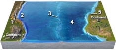 Which location on this figure from the Investigation is located on a divergent plate boundary?   A) 1 B) 2 C) 3 D) 4 E) 5