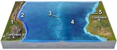 The continental edge between locations 4 and 5 is probably:   A) a divergent boundary B) a convergent boundary C) an active continental rift D) where two plates are colliding E) not a plate boundary