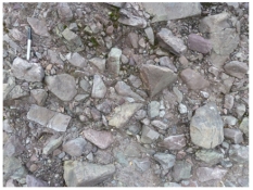 The sediment in this photograph mostly likely formed in:   A) a steep mountain front B) a river C) a sand dune D) deep water conditions on the seafloor