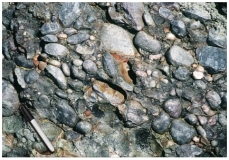 The rock in this photograph mostly likely formed in:   A) a steep mountain front B) a river C) a sand dune D) deep water conditions on the seafloor