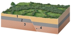 What is the youngest unit or feature in this figure?   A) 1 B) 2 C) 3 D) 4 E) there is no way to tell