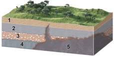What is the oldest unit or feature in this figure?   A) 1 B) 2 C) 3 D) 4 E) 5