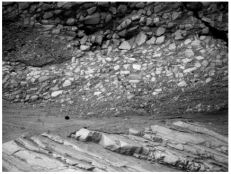 The oldest unit or feature in this photograph is:   A) the rock at the top that contains angular fragments B) the gray layer in the middle of the photograph C) the tilted rocks at the bottom D) there is no way to tell