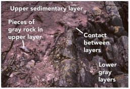 What can you interpret about the relative age of the rocks and features in this photograph?   A) The upper sedimentary layer is younger. B) The lower gray layers are younger. C) The layers are the same age because the boundary is so irregular. D) It is not possible to tell the relative ages of the layers.
