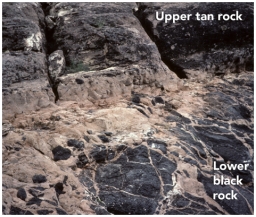 Which of the following are valid criteria for inferring the relative ages of the two rock types in this photograph?   A) The black rock is younger because it is on the bottom. B) The tan rock is younger because it contains pieces of the black rock. C) The black rock is younger because it is crosscut by the tan rock. D) The evidence is contradictory about the relative ages of these two rocks.