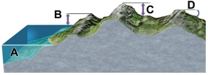 Which letter on the accompanying figure indicates depth?   A) A B) B C) C D) D