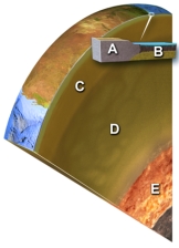 Which layer on this figure is the outer core?   A) A B) B C) C D) D E) E