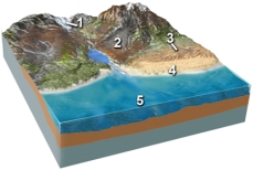 Which of the following locations would contain a wide variety of sediment,from large angular blocks to fine rock powder,produced from grinding of the rocks?   A) location 1,along the margins of a glacier B) location 2,along a steep mountain front C) location 3,in sand dunes D) location 4,along a beach E) location 5,on relatively deep seafloor