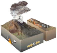 Which of the following locations would form a metamorphic rock?   A) locations 1 and 2 B) locations 2 and 3 C) locations 3 and 4 D) locations 1,2,and 3 E) locations 5 and 6
