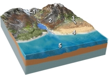 Which of the following locations would contain a wide variety of sediment, from large angular blocks to fine rock powder, produced from grinding of the rocks?   A)  location 1, along the margins of a glacier B)  location 2, along a steep mountain front C)  location 3, in sand dunes D)  location 4, along a beach E)  location 5, on relatively deep seafloor