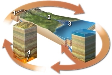 Which of the following best indicates a location where sediment is deposited but not eroded?   A)  location 1 B)  location 2 C)  location 3 D)  location 4
