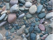 The sediment in this photograph most likely formed in:   A)  a steep mountain front B)  a river C)  a sand dune D)  deep water conditions on the seafloor