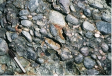 The rock in this photograph mostly likely formed in:   A)  a steep mountain front B)  a river C)  a sand dune D)  deep water conditions on the seafloor