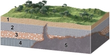 What is the oldest unit or feature in this figure?   A)  1 B)  2 C)  3 D)  4 E)  5