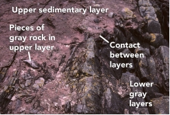 What can you interpret about the relative age of the rocks and features in this photograph?   A)  The upper sedimentary layer is younger. B)  The lower gray layers are younger. C)  The layers are the same age because the boundary is so irregular. D)  It is not possible to tell the relative ages of the layers.